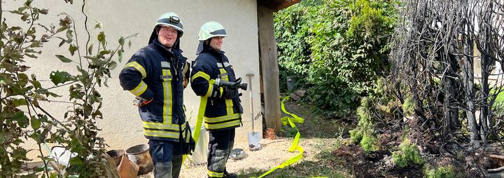 Thuja-Hecke gerät in Brand