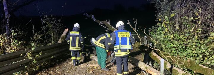 Baum blockiert Brücke