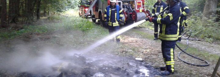 Unbewachtes Feuer im Wald